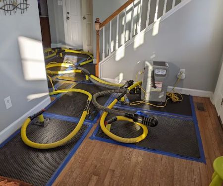 1-800 Water Damage of Raleigh