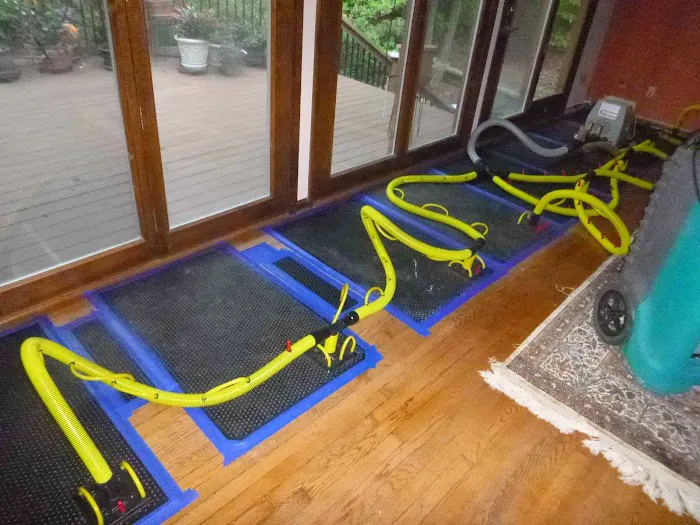 1-800 Water Damage of Raleigh Picture 10