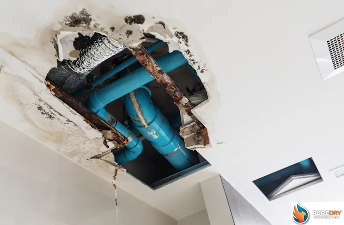 Property Damage Hotline - Reliable Home Remodeling Picture 3