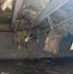 Natural Restoration Picture 2