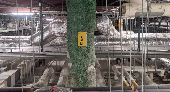 Natural Restoration Picture 3