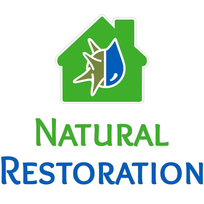 Natural Restoration Picture 9