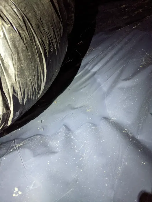 Shamrock Waterproofing Inc Picture 7