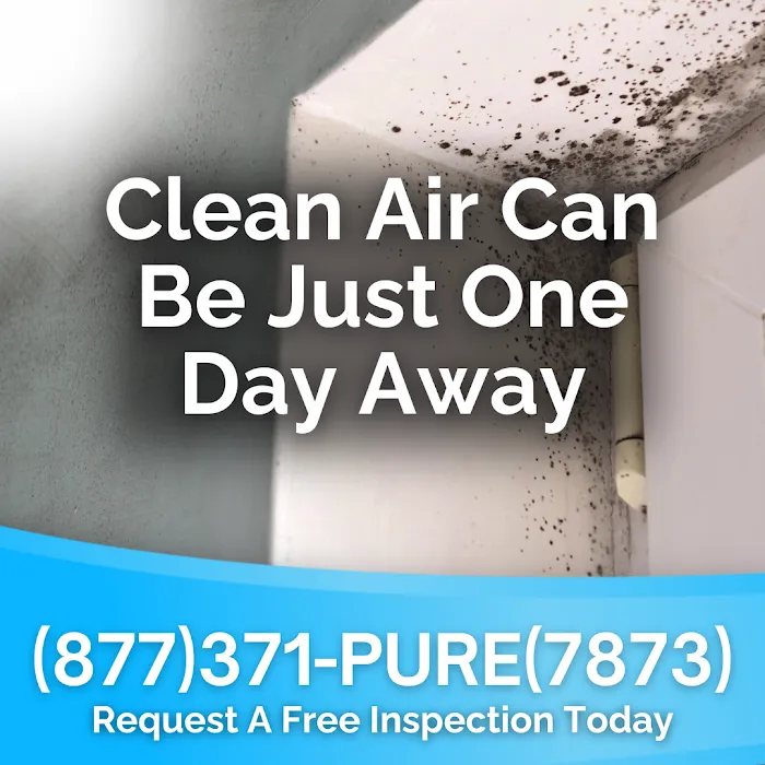 Pure Air North Carolina - Raleigh Picture 2