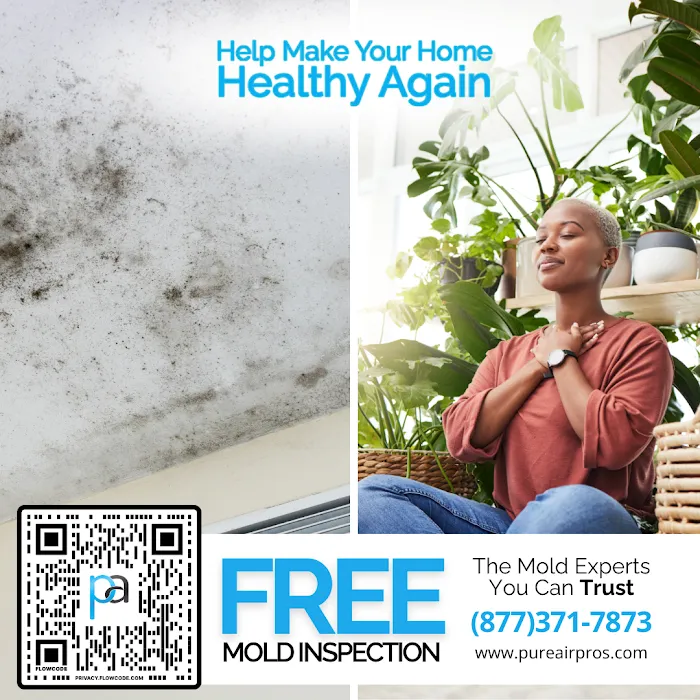 Pure Air North Carolina - Raleigh Picture 6