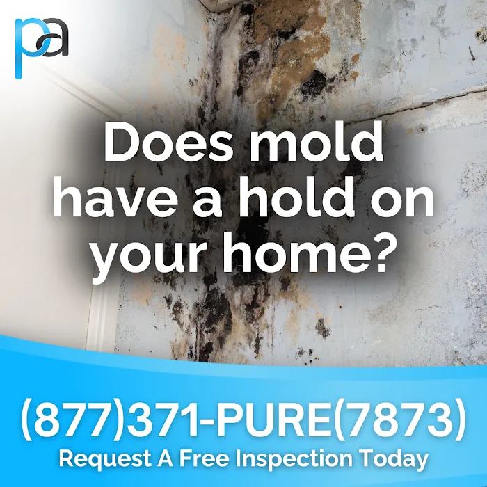 Pure Air North Carolina - Raleigh Picture 5