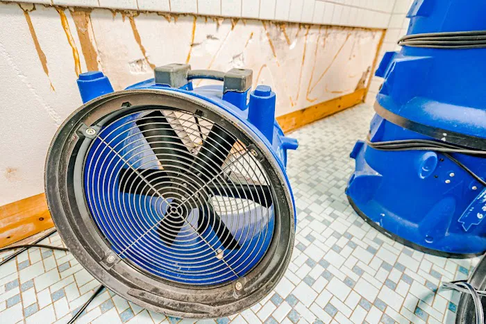 Limitless Restoration Picture 2