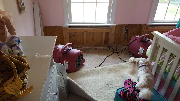 EMERG+NC Property Rescuers Picture 6