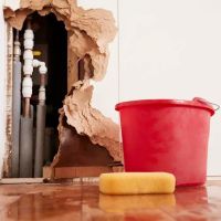 Gourd Capital Water Damage Experts ico