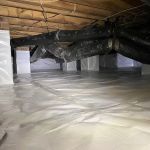 Elite Moisture Solutions