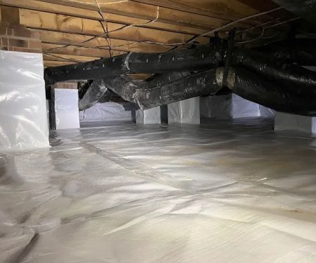 Elite Moisture Solutions