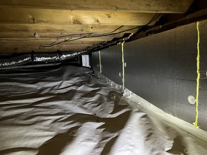 Elite Moisture Solutions Picture 2