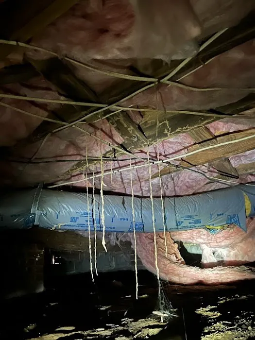 Elite Moisture Solutions Picture 6