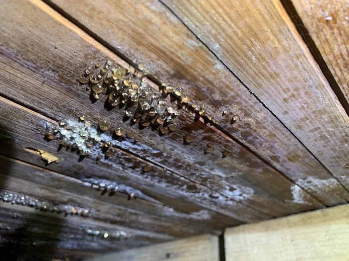 Elite Moisture Solutions Picture 7