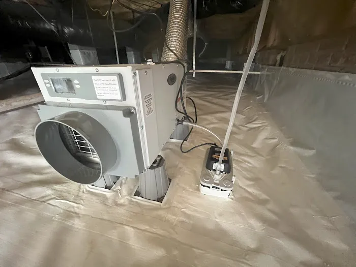 Elite Moisture Solutions Picture 5