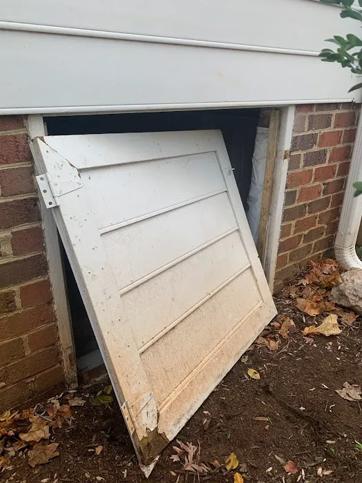 Elite Moisture Solutions Picture 9