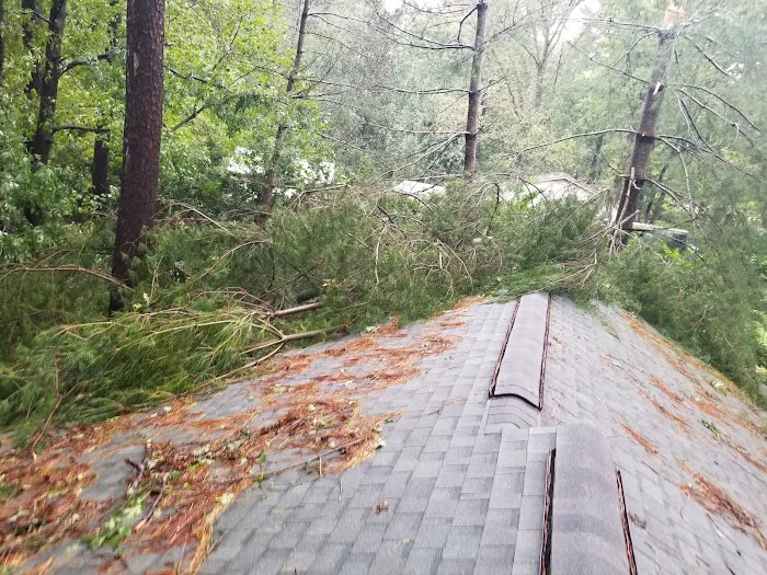 One Team Restoration Picture 5