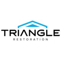 Triangle Restoration ico