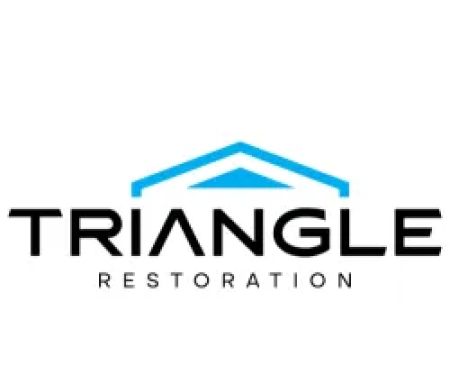 Triangle Restoration