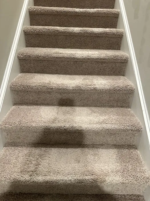 Stanley Steemer Picture 3