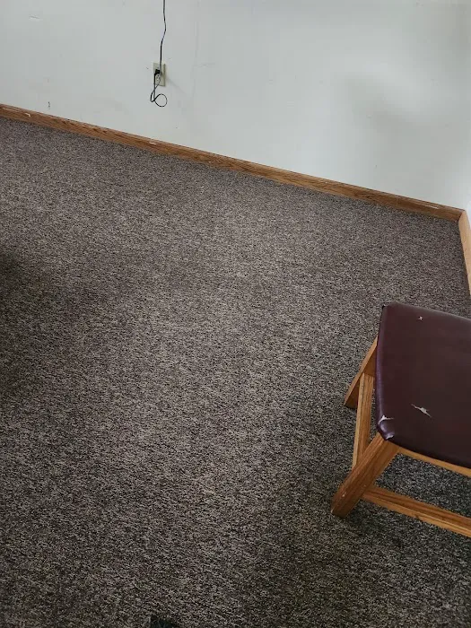 Stanley Steemer Picture 2