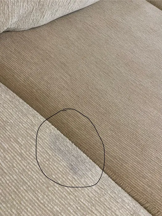 Stanley Steemer Picture 5