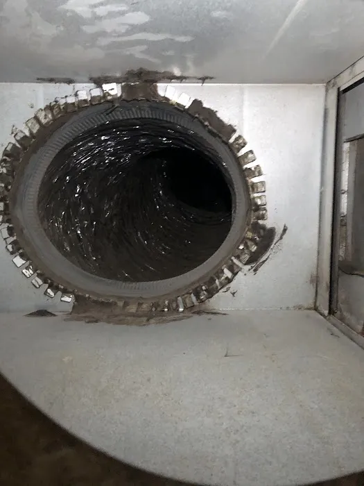 Stanley Steemer Picture 4