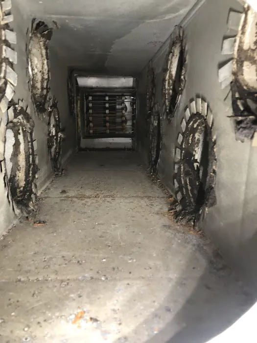 Stanley Steemer Picture 8