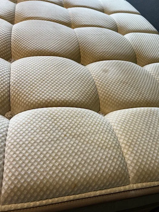 Stanley Steemer Picture 9