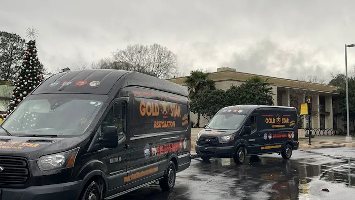 Gold Star Restoration Picture 1