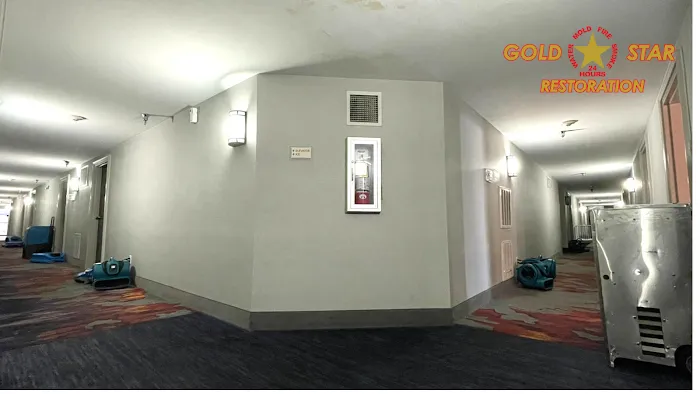 Gold Star Restoration Picture 3