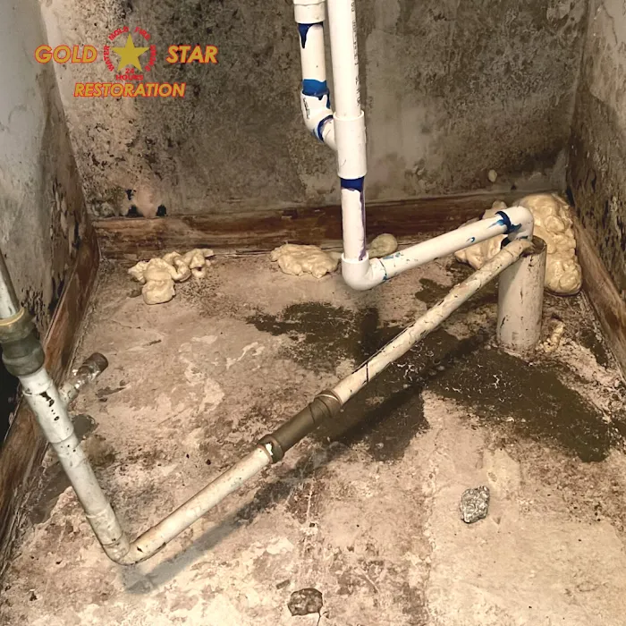 Gold Star Restoration Picture 10