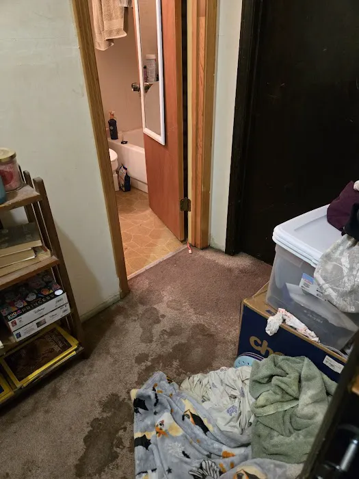 True North Restoration of Raleigh Picture 7