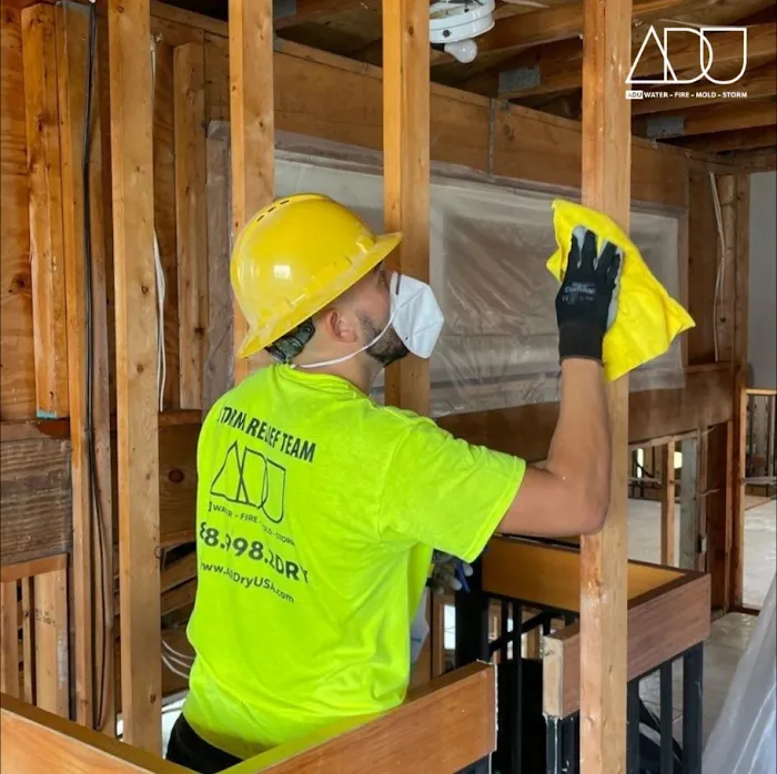 ADU Water Fire Mold Storm Picture 10