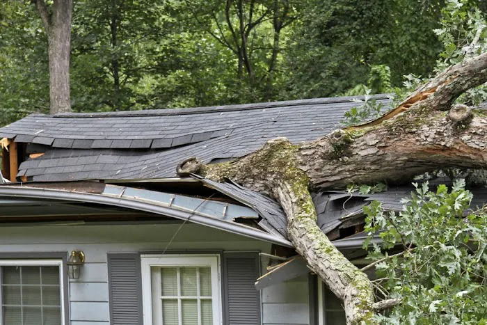 Jenkins Restorations Picture 6