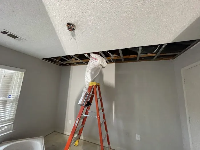 Rainbow Restoration of The Triangle Picture 4