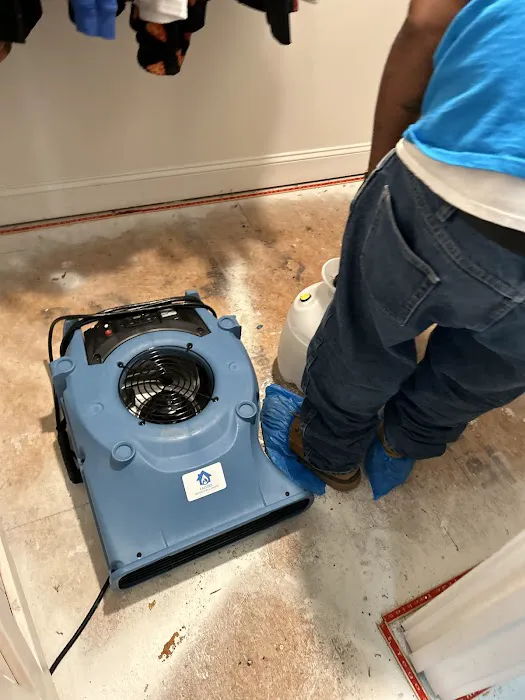 Eastern Restoration and Disaster Picture 4