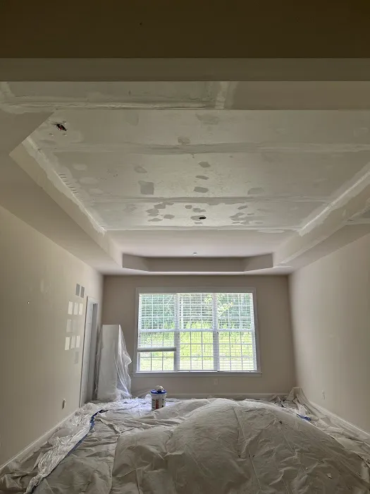 Eastern Restoration and Disaster Picture 9