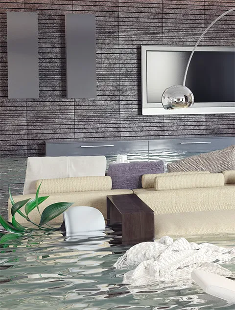 Restoration 1 of Raleigh North Picture 4