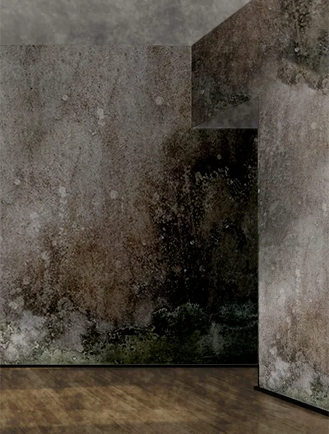 Restoration 1 of Raleigh North Picture 10