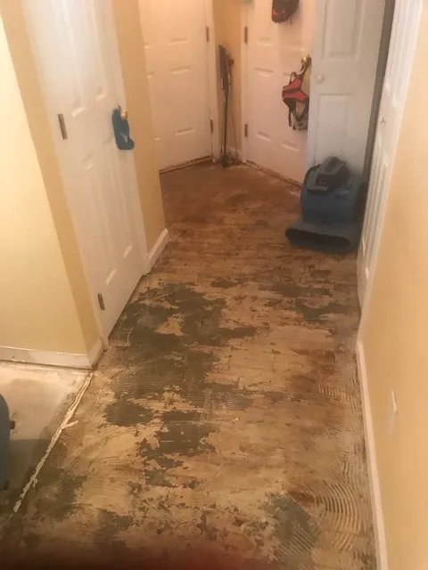 C.A.R.E. Services Picture 1