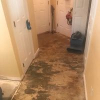 C.A.R.E. Services ico