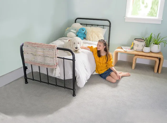 Chem-Dry of Wake County Picture 3