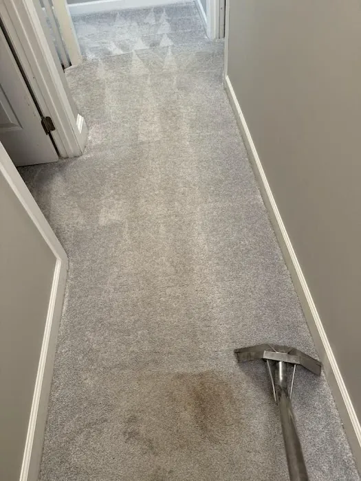 Chem-Dry of Wake County Picture 2