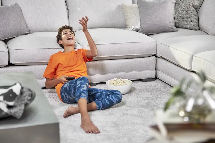 Chem-Dry of Wake County Picture 10