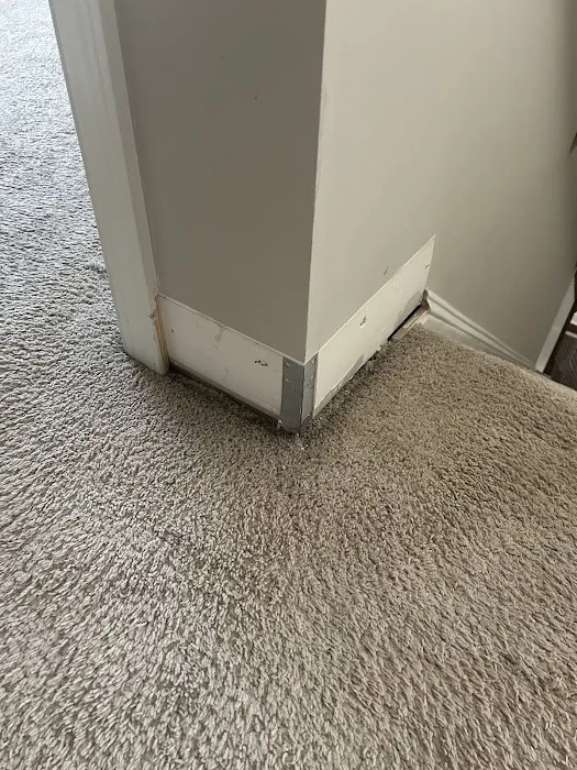 ARCO Restoration Inc. Picture 6