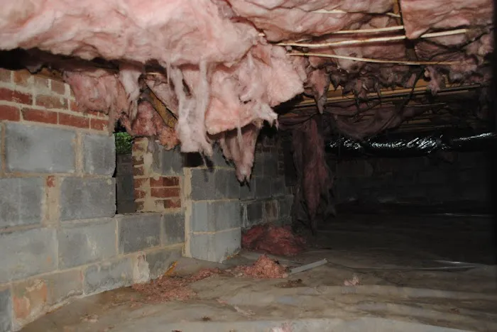 Crawl Space & Basement Technologies Picture 7