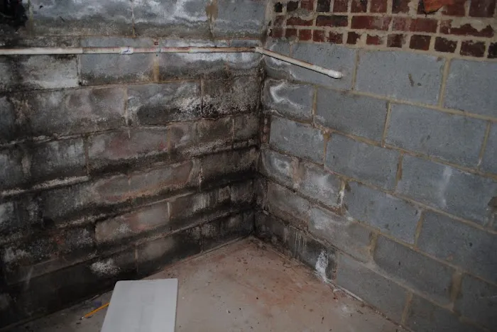 Crawl Space & Basement Technologies Picture 4