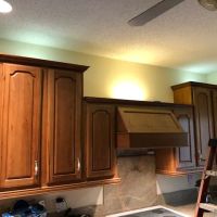 Coordinated Loss Services ico