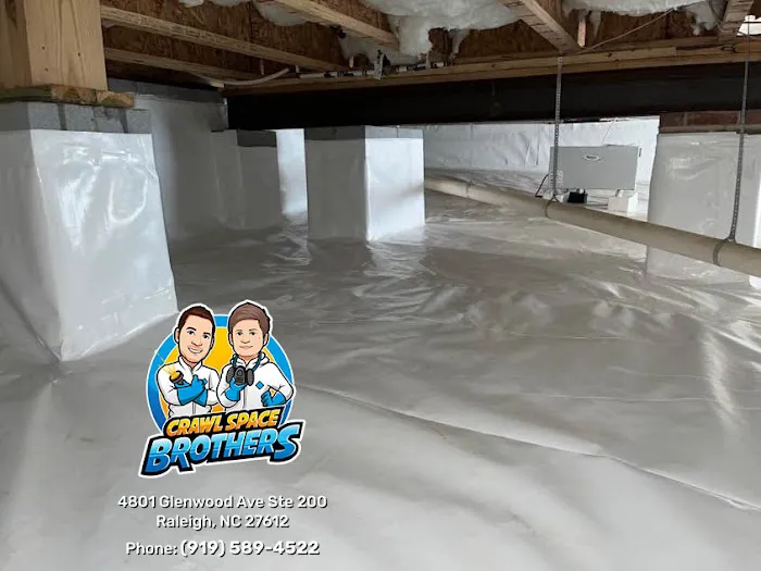 Crawl Space Brothers Picture 1